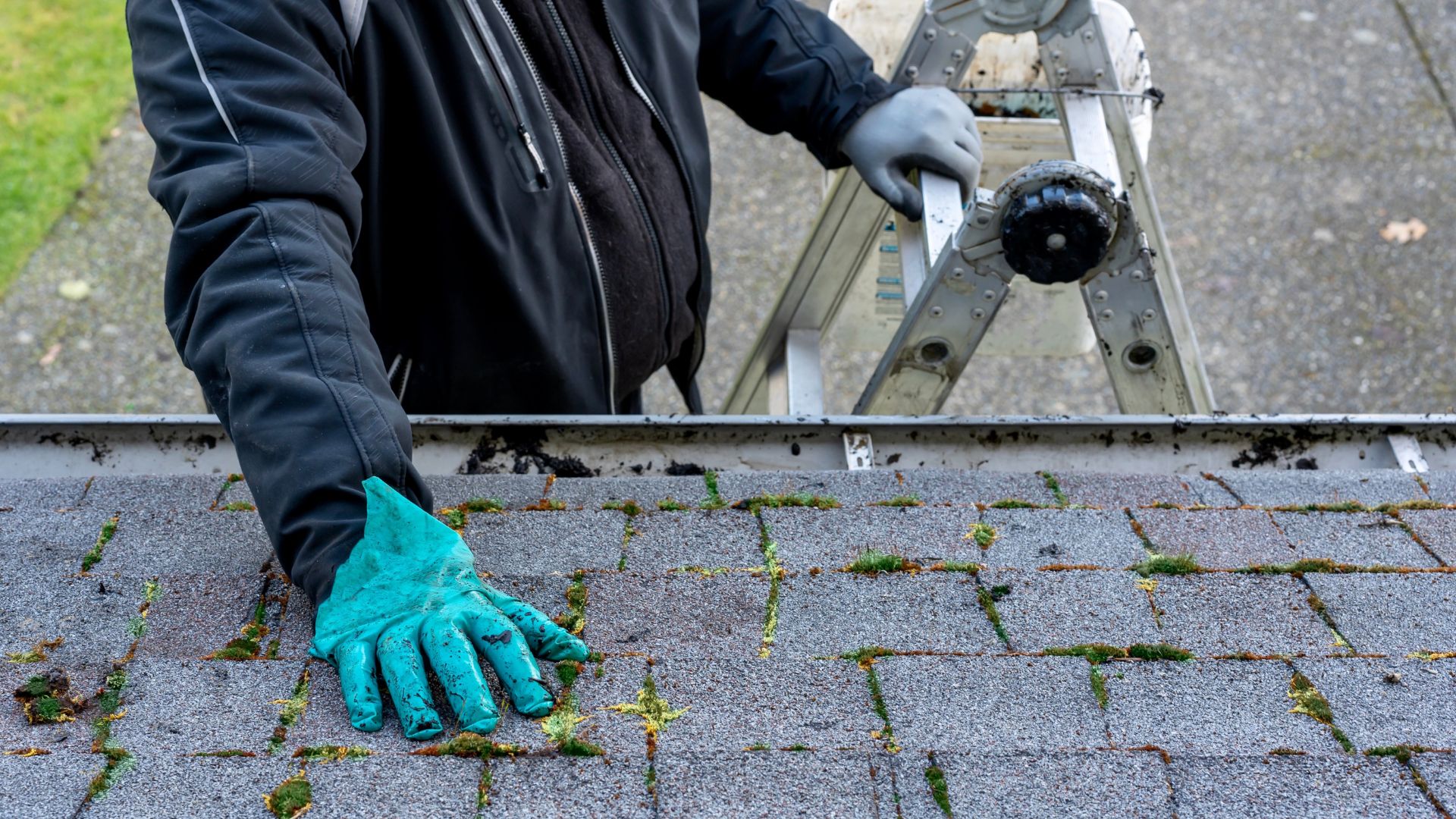 Enhancing Roof Durability with Professional Moss Removal Services