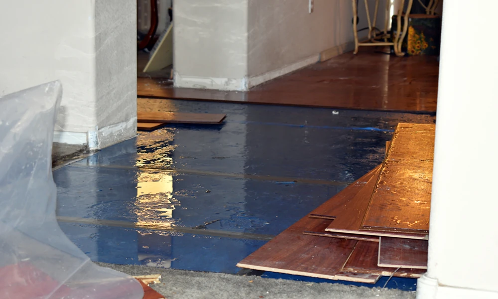 Keeping Homes and Businesses Safe After Water, Fire, and Mold Emergencies